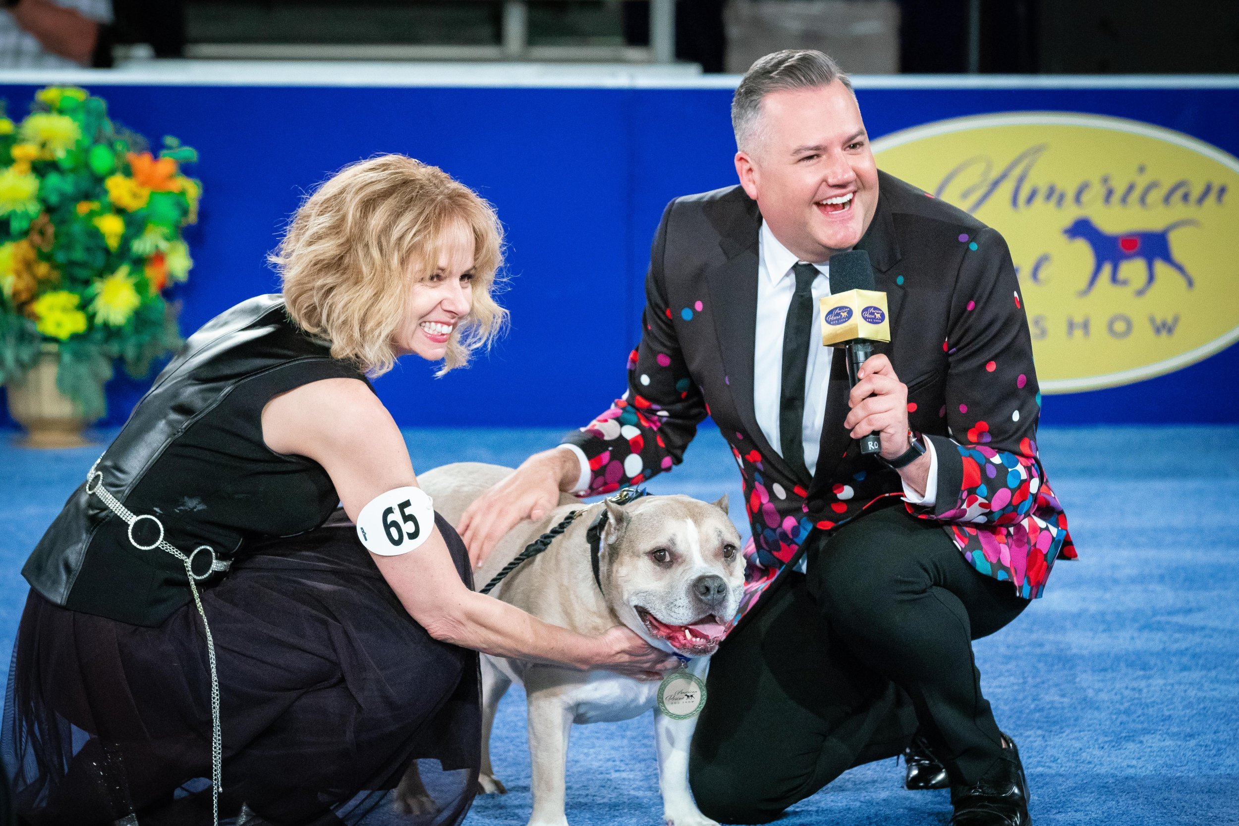 Dog Rescue Fun Dog Shows 2019 Hallmark Rescue Dog Show 2025