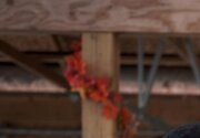 Preview - Falling Into Place