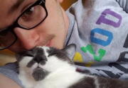 Adoption Stories - Scooter & Sam - Cat Bowl