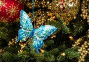 Keepsake Ornament Giveaway - Brilliant Butterfly - Home & Family
