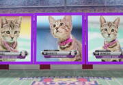 Highlights - Kitten Bowl VIII - Meet the Baker Brothers