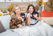 Adoption Ever After - Gavin, Gabriel, Gregory & Giselle - Home & Family