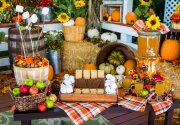 DIY S'mores Station - Home & Family