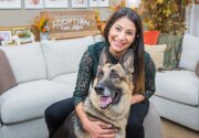 Adoption Ever After - Ranger - Home & Family