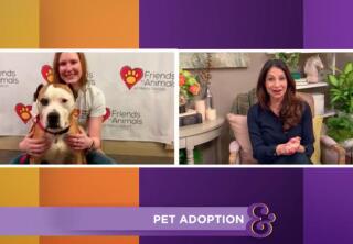 Adoption Ever After - Maxin