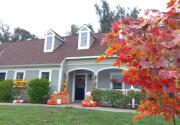 Day of the Dead Pumpkins - Home & Family
