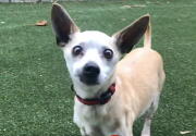 Connor - Adoption Ever After - Home & Family