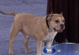 Highlights - Best in Smile Winner