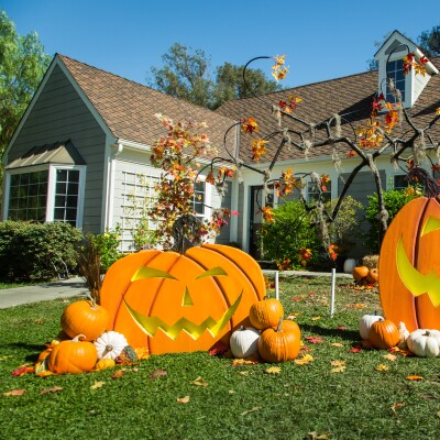 DIY Pumpkin Patch Photo Op