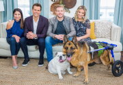 Trevor Donovan and His Dogs - Home & Family
