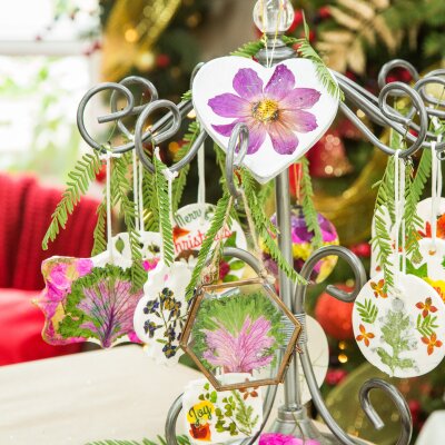DIY Pressed Flower Ornaments