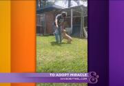 Miracle - Adoption Ever After - Home & Family