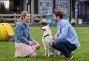Sneak Peek - Romance to the Rescue