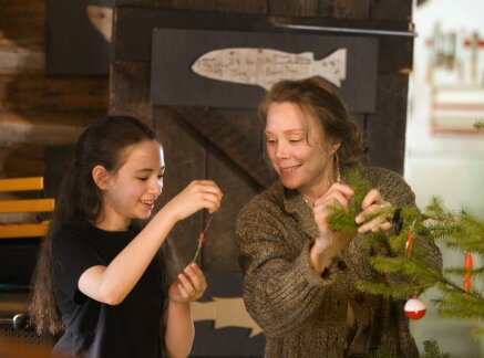 SUN 2/1c: Pictures of Hollis Woods