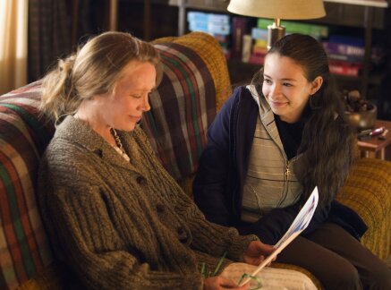 Preview - Pictures of Hollis Woods