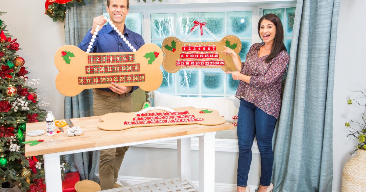 DIY Pet Advent Calendar Home & Family