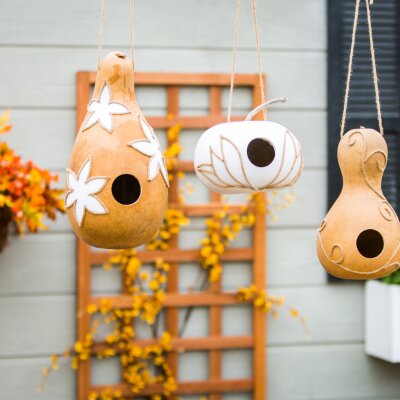 DIY Gourd Birdhouses
