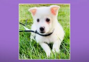 Adoption Ever After - Hocus Pocus - Home & Family