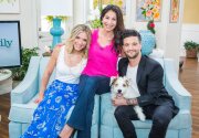 Take Your Dog to Work Day - Home & Family