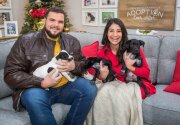 Pet Adoption - Dawn, Wiktor, Martin, Stanislaw - Home & Family
