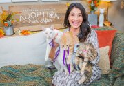 Adoption Ever After - Global Cat Day - Home & Family