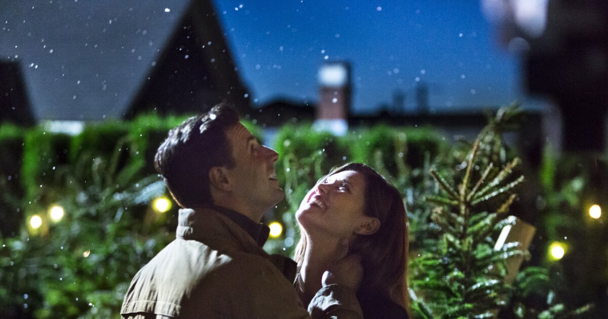 Photos - 'Tis the Season For Love - 3