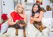 Adoption Ever After - Whiskey & Porter - Home & Family