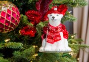 Hallmark Keepsake Ornament Reveal - Dapper Polar Bear - Home & Family