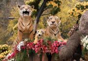 Preview - 130th Tournament of Roses Parade