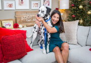 Pet Adoption - Macci - Home & Family
