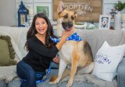 Pet Adoption - Lanna - Home & Family