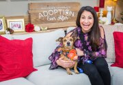 Pet Adoption - Dudley - Home & Family