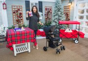 Must Haves for Senior Pets - Home & Family