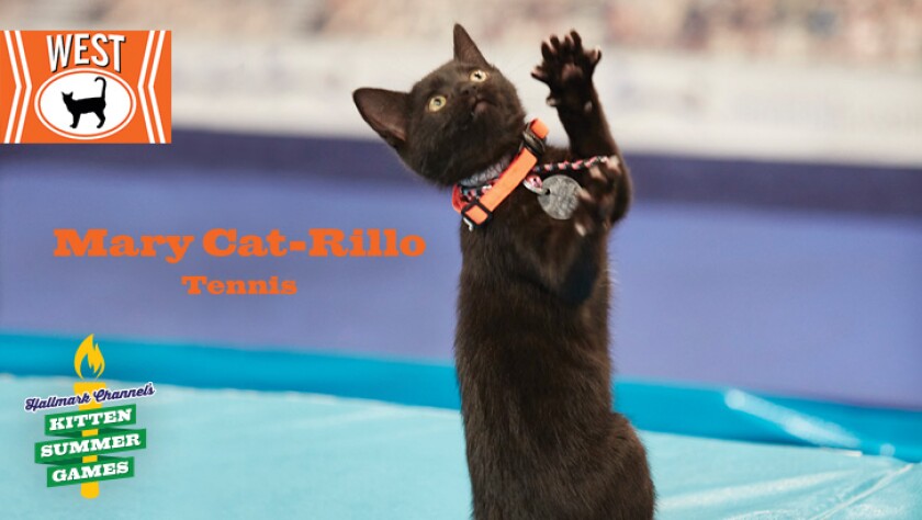 Meet the Kittens - Mary Cat-Rillo