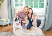Pet Anxiety Busters - Home & Family