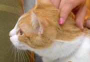 Julius - Adoption Ever After - Home & Family