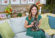 Nathan - Adoption Ever After - Home & Family