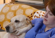 Frances - Guide and Hearing Dog - Hero Dog Awards 2018