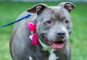 Adoption Ever After - Luna and Kiki - Home & Family