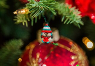 Keepsake Ornament Giveaway - Mini Cozy Lil’ Critters Bird - Home & Family