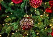 Hallmark Keepsake Ornament Reveal - 2020 Christmas Commemorative - Home & Family