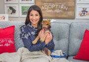 Pet Adoption - Winston - Home & Family