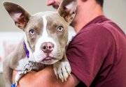 Willow - Adoption Ever After - Home & Family