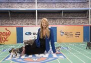 On - Location - Kitten Bowl V