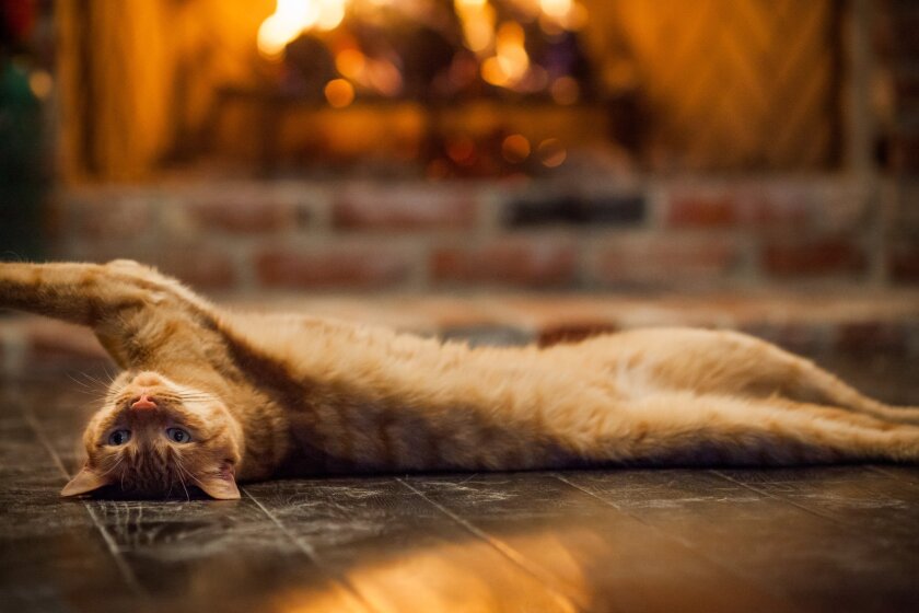 Free Hallmark Movies On Youtube 2021 Free Hallmark Movies On Youtube 2021