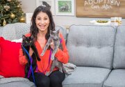 Pet Adoption - Kano & Smoke - Home & Family