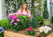 Hydrangeas 101 - Home & Family