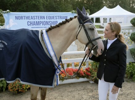 Taking the Reins