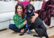 Macy - Adoption Ever After - Home & Family