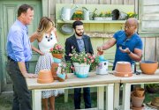 DIY Terra Cotta Pot Makeover - Home & Family